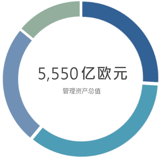 图形 555 bn - 总资产